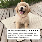Arctic™ Cooling Dog Mat